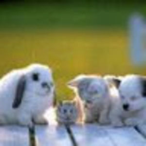 Meet your Posher, Klaire